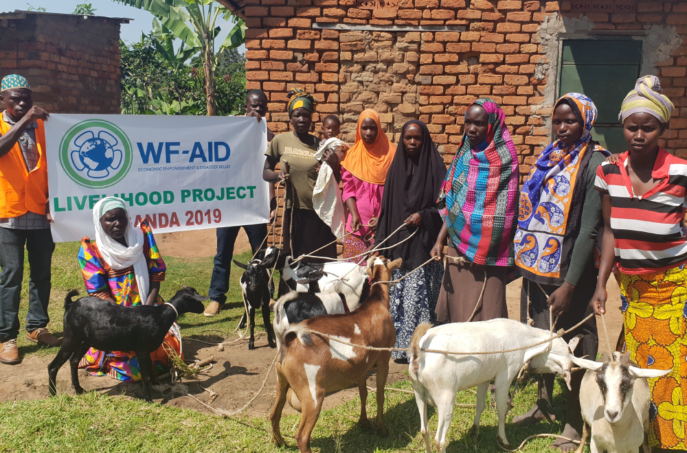 goat-rearing-project-in-uganda-wf-aid